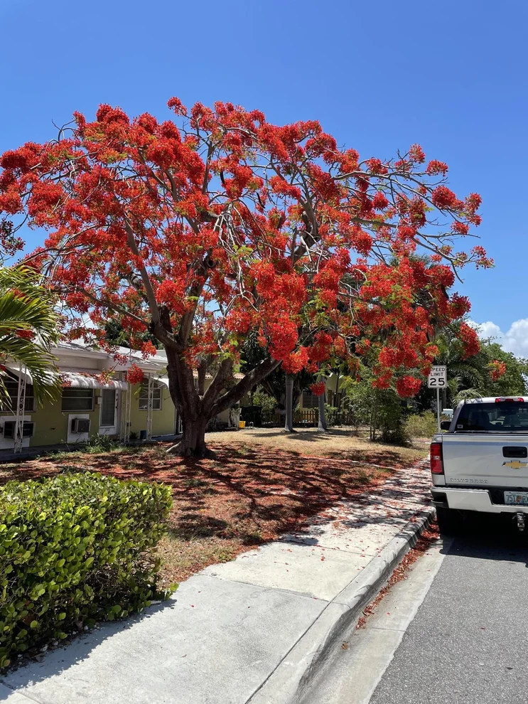Unit for sale at 520 N J Street, Lake Worth Beach, FL 33460