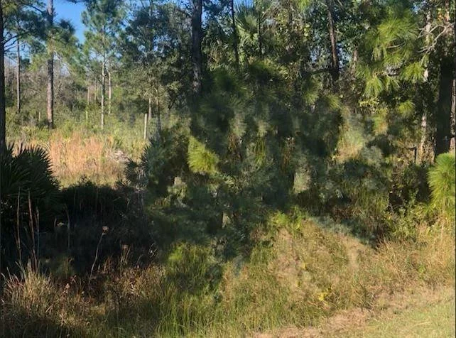 Unit for sale at 0 Kenansville, Okeechobee, FL 34739