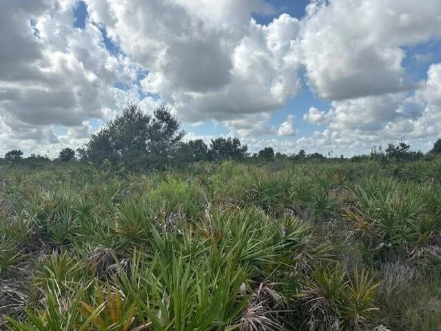 Unit for sale at 0 NW 314th Street, Okeechobee, FL 34972