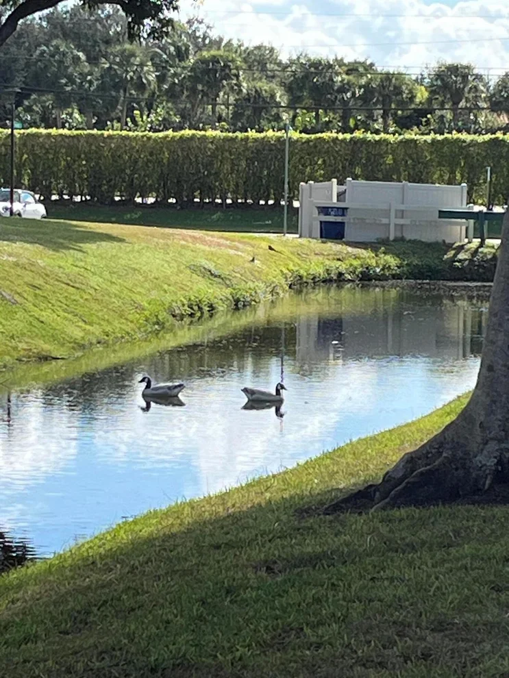 Unit for sale at 647 Flanders  N, Delray Beach, FL 33484