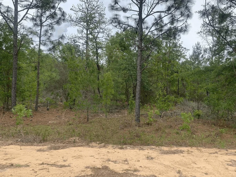 Unit for sale at 0 May Lane, Interlachen, FL 32148