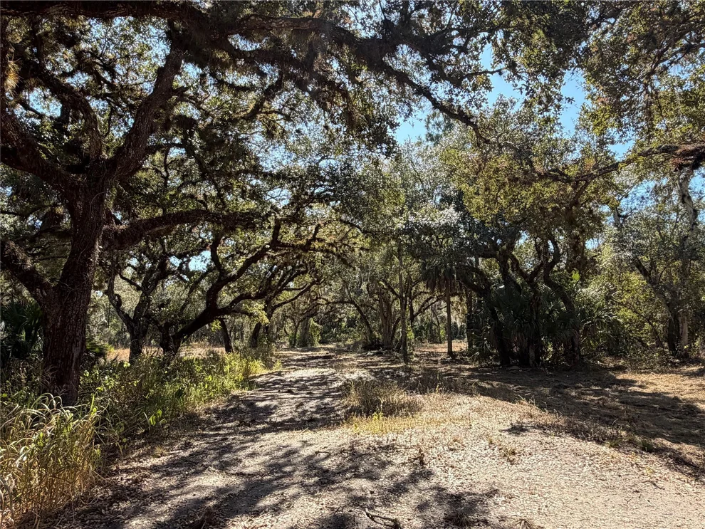 Unit for sale at Tbd SE 40th Avenue, Okeechobee, FL 34974