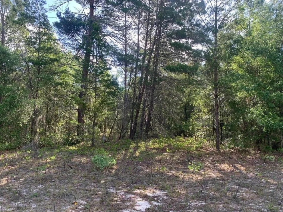 Unit for sale at 0 Evans Avenue, Interlachen, FL 32148