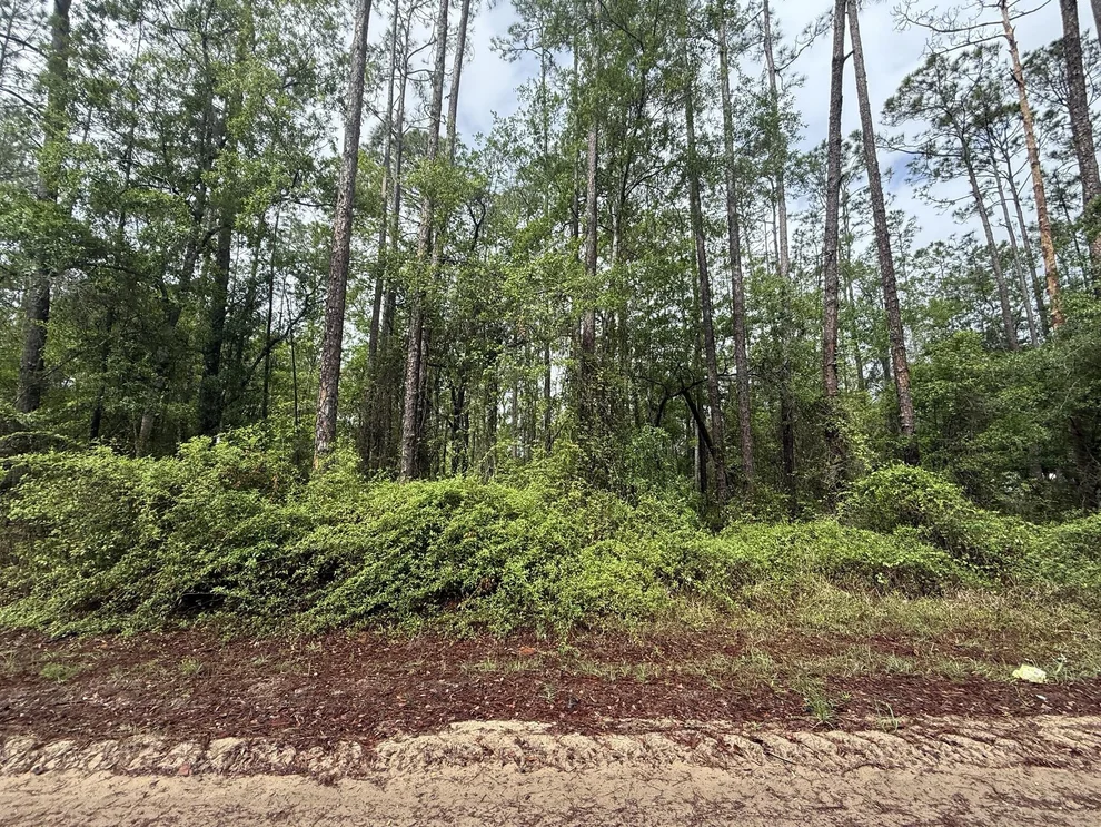 Unit for sale at Tbd Seminole Avenue, Interlachen, FL 32148