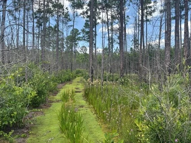 Unit for sale at 0 Holopaw Groves Road, St Cloud, FL 34772