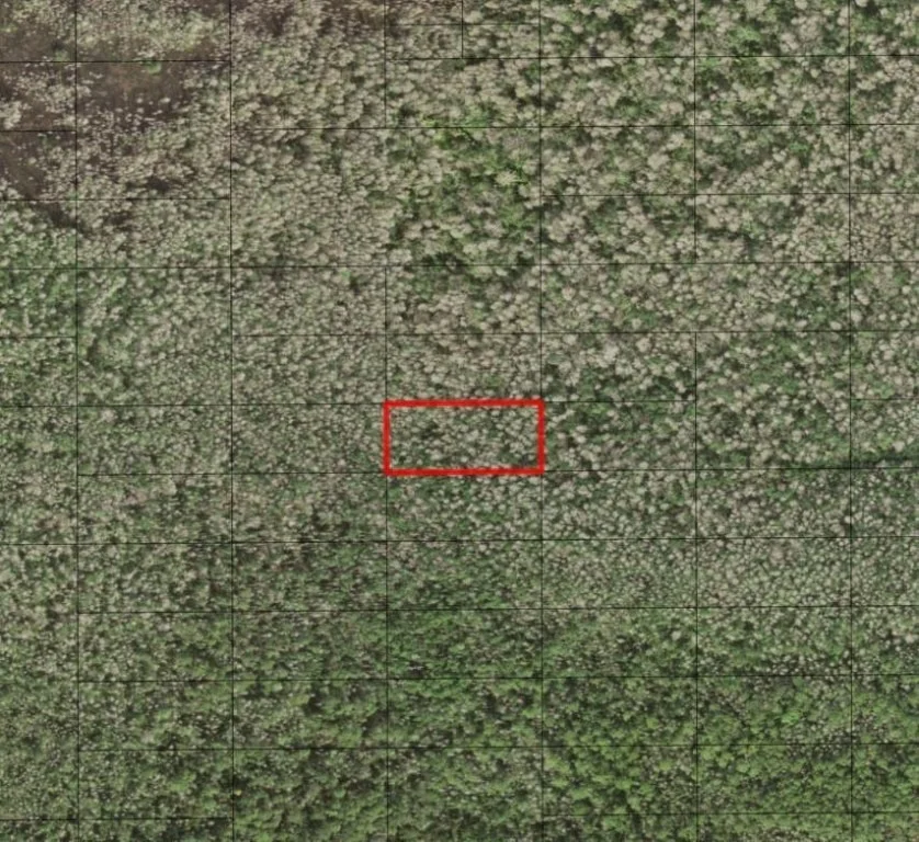Unit for sale at 0 Holopaw Groves Road, St Cloud, FL 34772