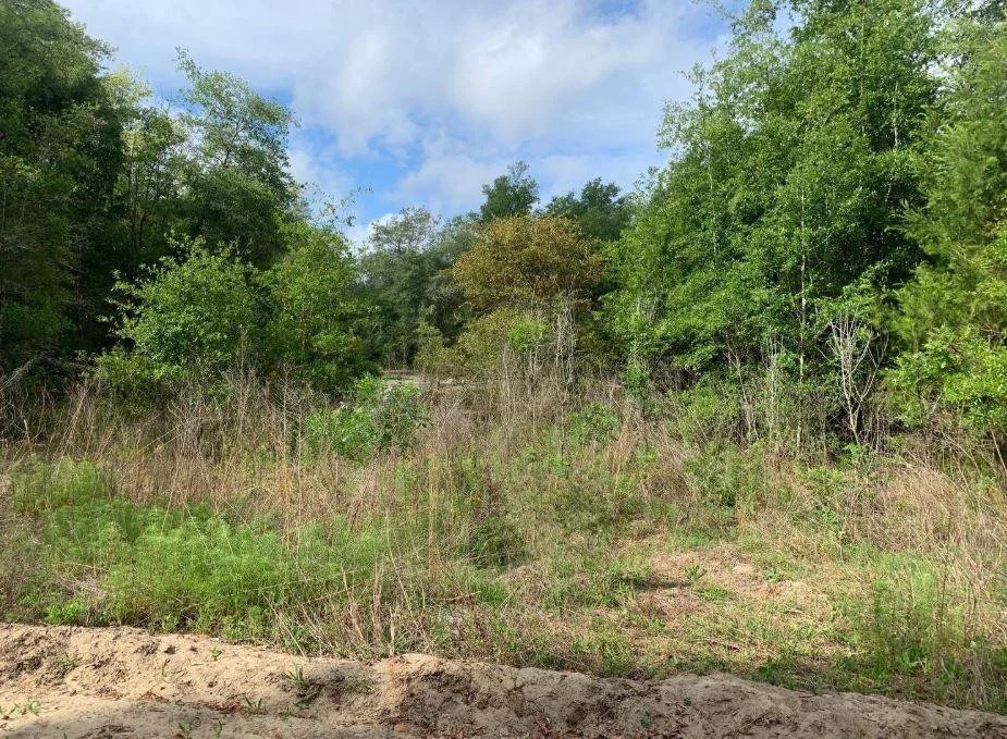 Unit for sale at 0 Douglas Drive, Interlachen, FL 32148