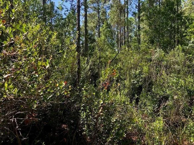 Unit for sale at 0 Old Grade Road, Polk City, FL 33868