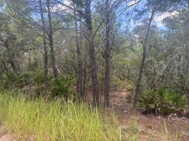 Unit for sale at 0 Us Hwy 27, Lake Wales, FL 33859