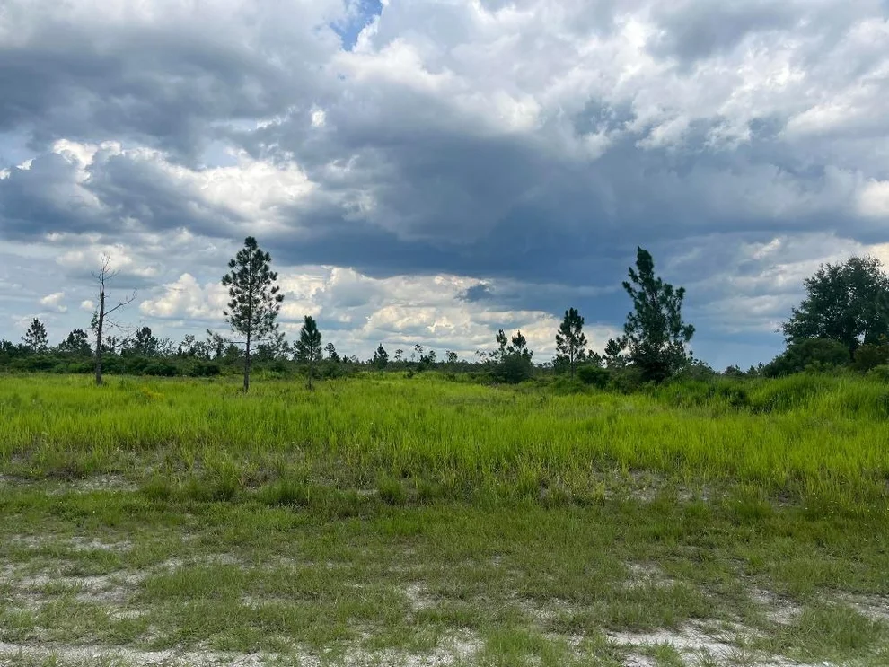 Unit for sale at 0 Pinnata Drive, Lake Wales, FL 33898