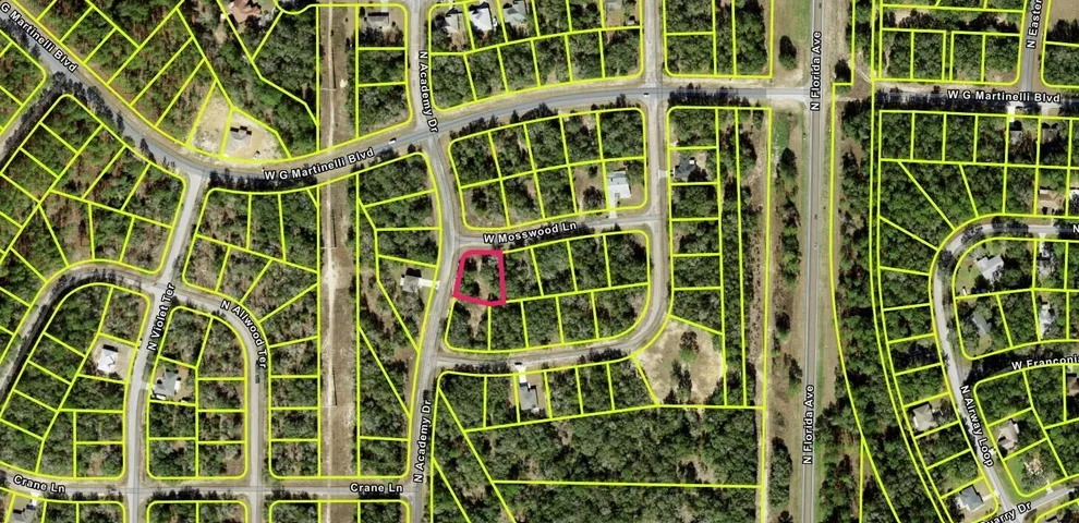 Unit for sale at 1425 W Mosswood Lane, Citrus Springs, FL 34434