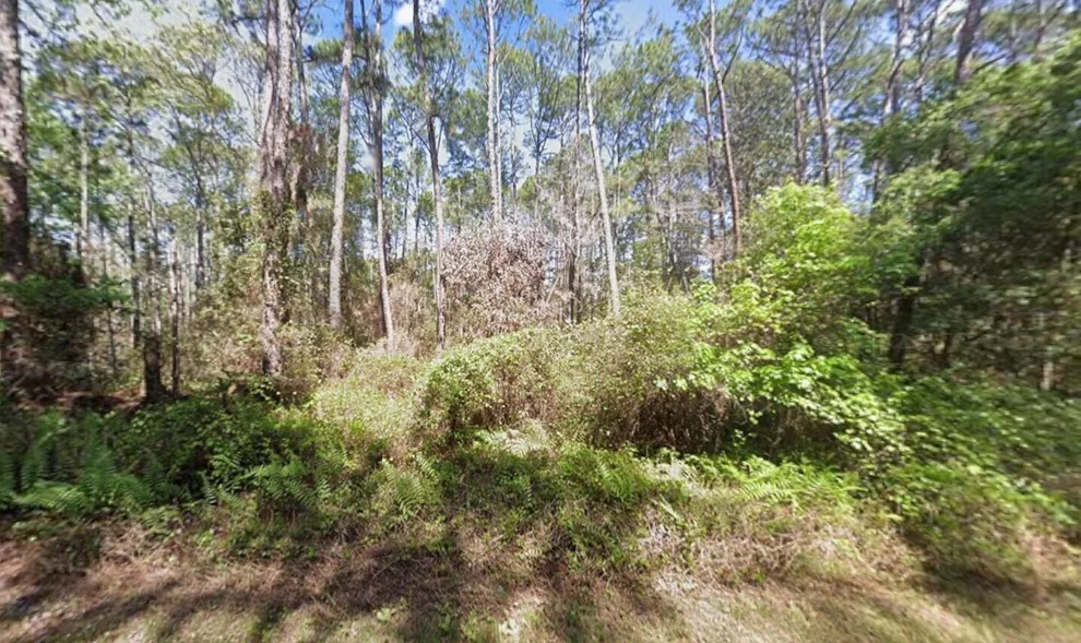Unit for sale at 418 Palm Way, Georgetown, FL 32139