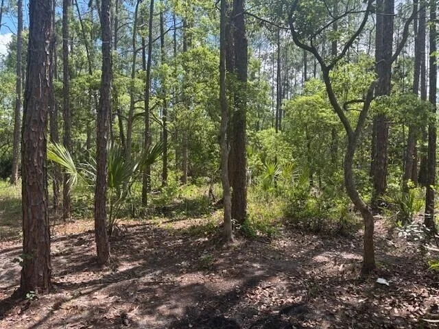 Unit for sale at 0 Dahlia Rd Road, Deland, FL 32724