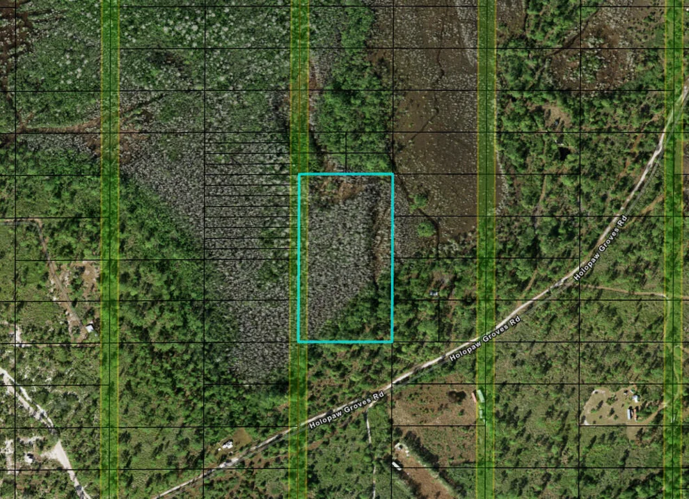 Unit for sale at 0 Holopaw Groves Road, St Cloud, FL 34772