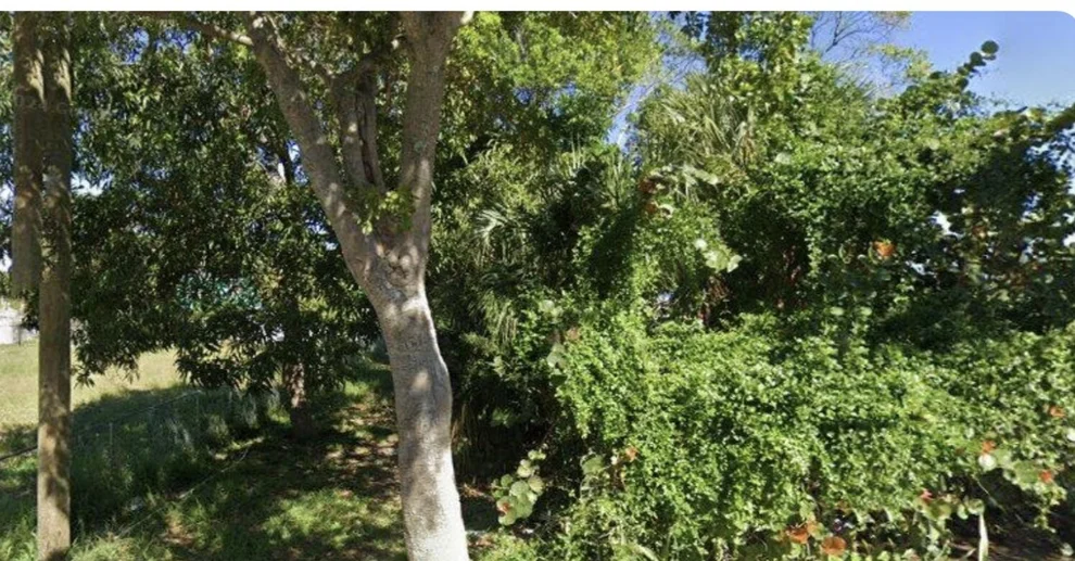 Unit for sale at 619 14th Street, West Palm Beach, FL 33401