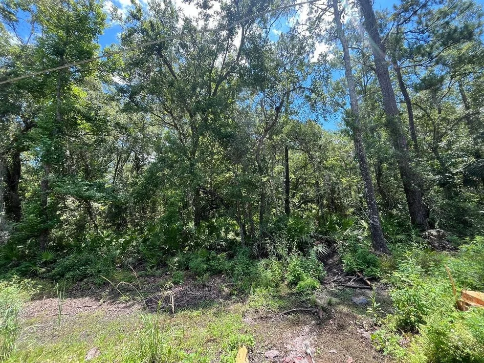 Unit for sale at Tbd Franklin Drive, Crawfordville, FL 32327