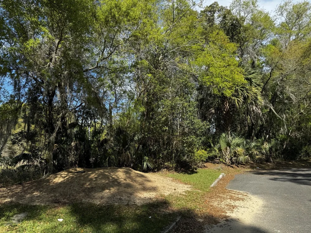 Unit for sale at Tbd NE 4th Court, Ocala, FL 34479