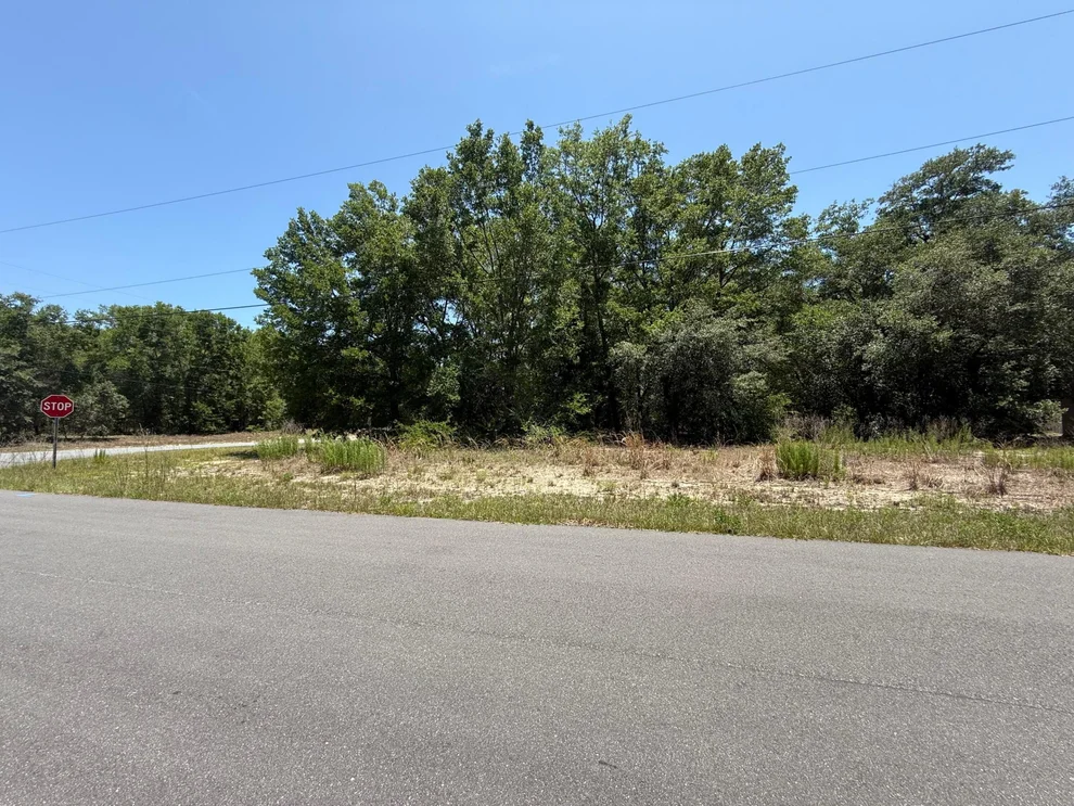 Unit for sale at 11064 N Academy Drive, Citrus Springs, FL 34434