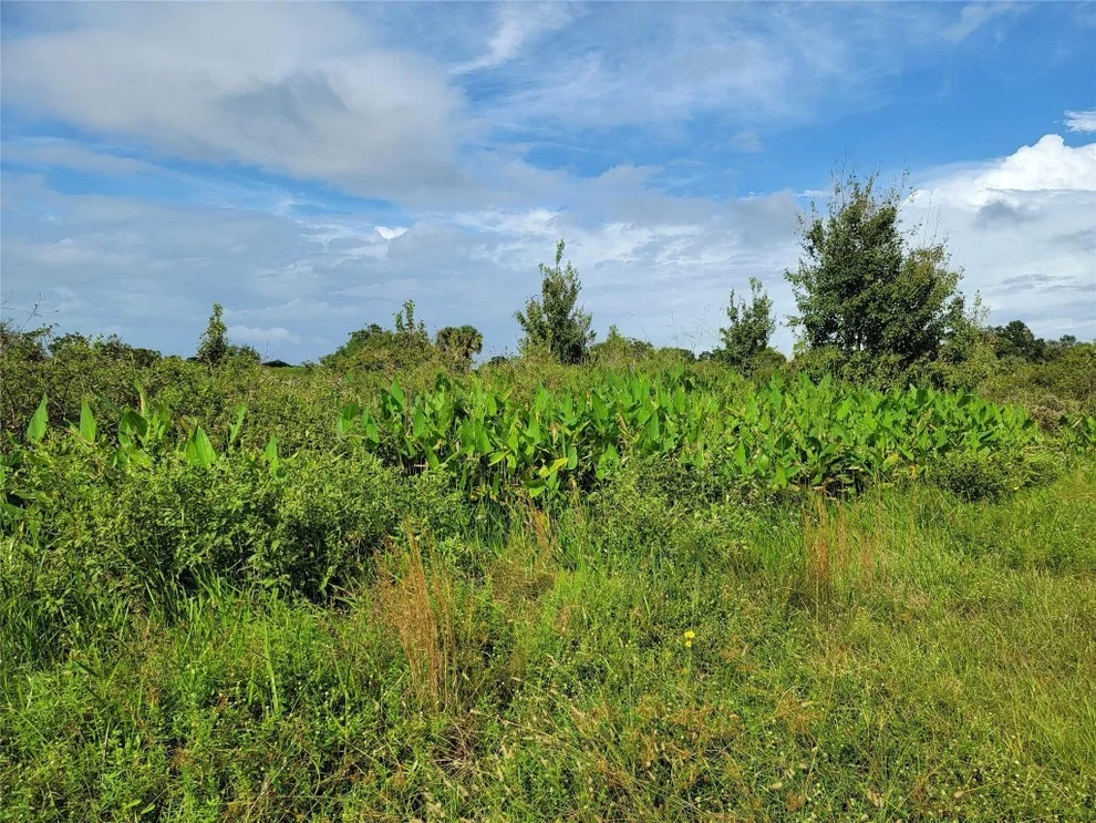 Unit for sale at 17275 NW 260th Street, Okeechobee, FL 34972