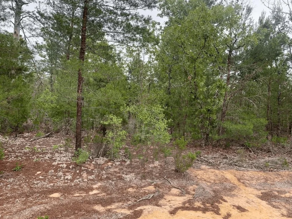 Unit for sale at 0 Gray Street, Interlachen, FL 32148