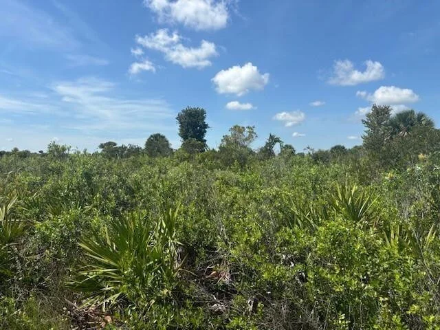 Unit for sale at 0 NW 310th Street, Okeechobee, FL 34972