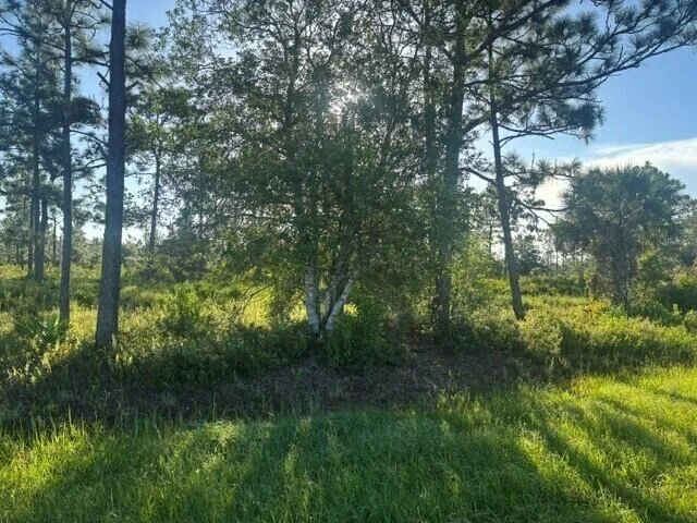 Unit for sale at 0 N Hwy 441, Okeechobee, FL 34972