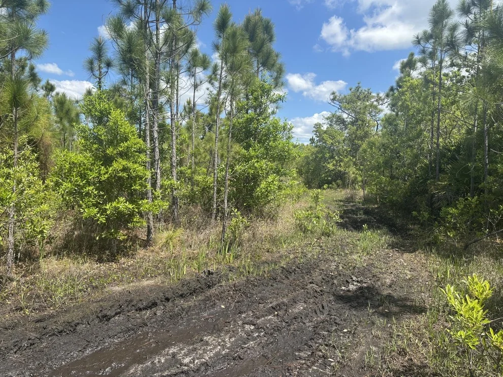 Unit for sale at 0 Holopaw Groves Road, St Cloud, FL 34772