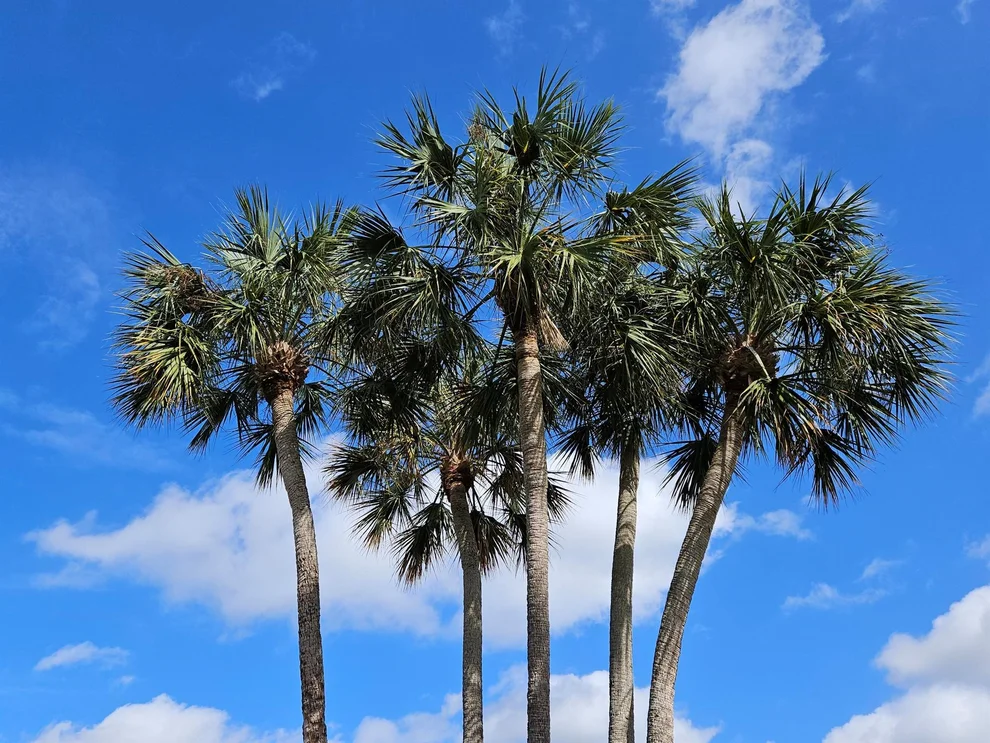 Unit for sale at 7341 Amberly Lane, Delray Beach, FL 33446