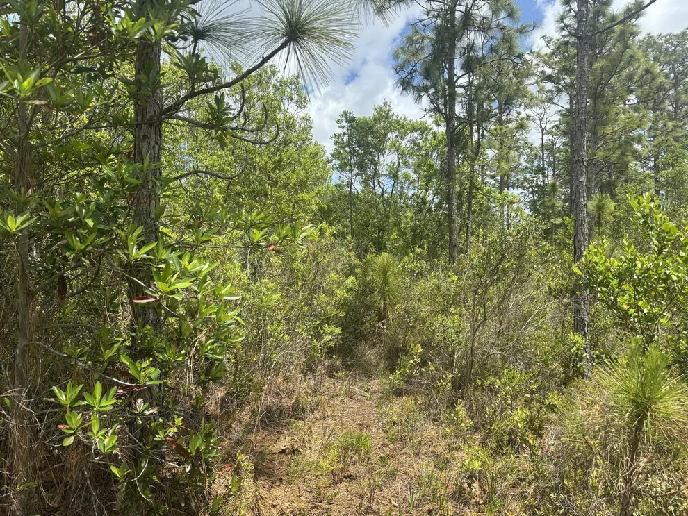 Unit for sale at 0 Holopaw Groves Road, St Cloud, FL 34772