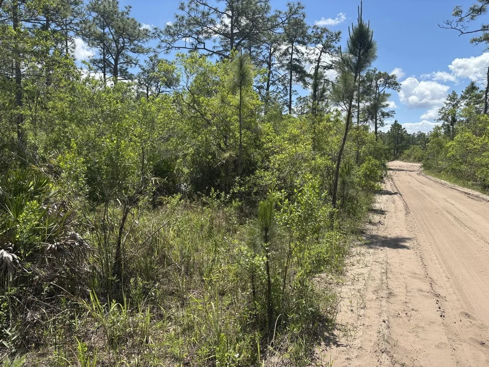 Unit for sale at 0 Holopaw Groves Road, St Cloud, FL 34772