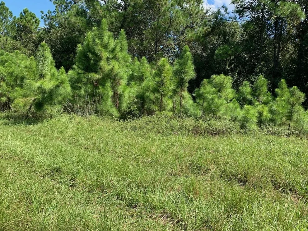 Unit for sale at 0 Old Grade Road, Polk City, FL 33868