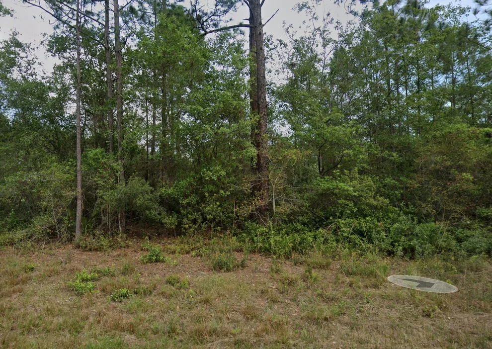 Unit for sale at 124 Roebuck Street, Georgetown, FL 32139