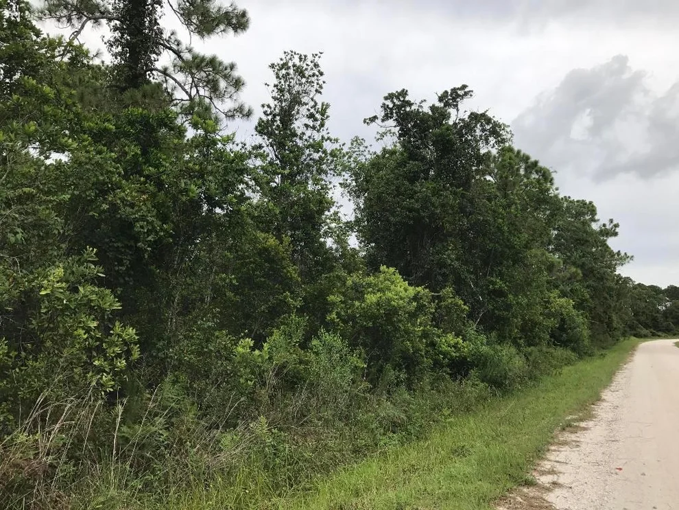 Unit for sale at 1126 Greenfield Street, Lake Placid, FL 33852