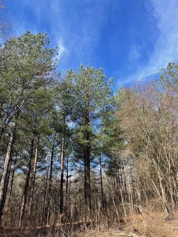 Unit for sale at 763 Timber Creek Trails South XI, Broken Bow, OK 74728