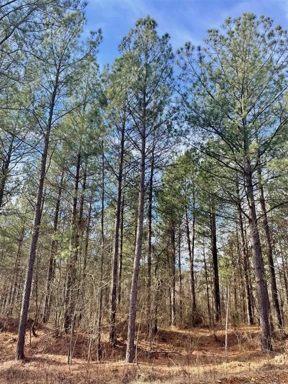 Unit for sale at 742 Timber Creek Trails South XI, Broken Bow, OK 74728