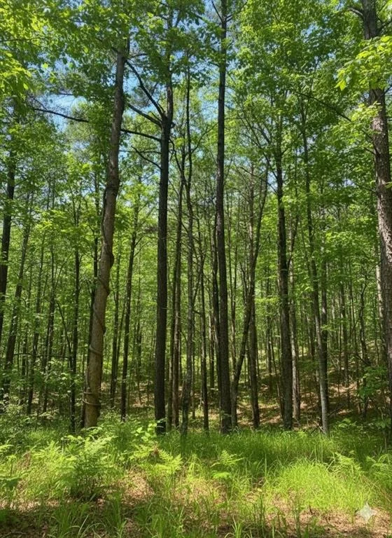 Unit for sale at 778 Timber Creek Trail South XI, Broken Bow, OK 74728