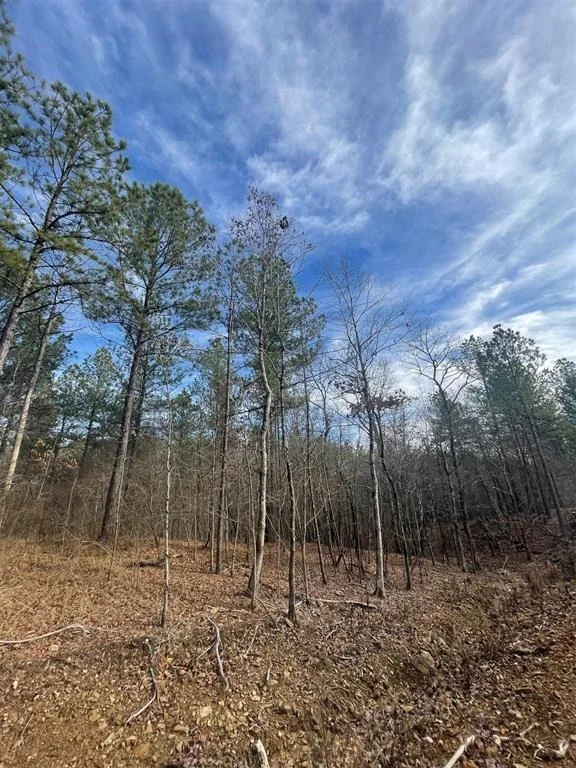 Unit for sale at 729 Timber Creek Trails South XI, Broken Bow, OK 74728
