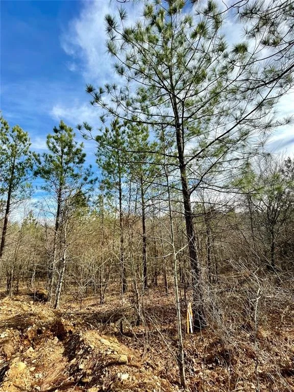 Unit for sale at 760 Timber Creek Trails South XI, Broken Bow, OK 74728