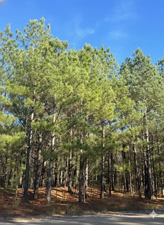 Unit for sale at 1245 Sugarberry Trail Trail, Broken Bow, OK 74728