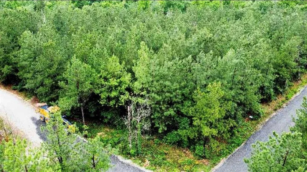 Unit for sale at 25 Mission Fig Trail, Broken Bow, OK 74728