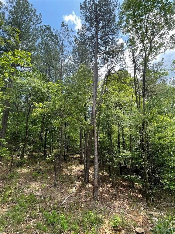 Unit for sale at 687 Timber Creek Trails South XI, Broken Bow, OK 74728