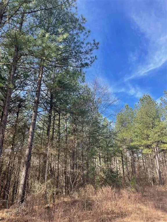 Unit for sale at 762 Timber Creek Trails South XI, Broken Bow, OK 74728
