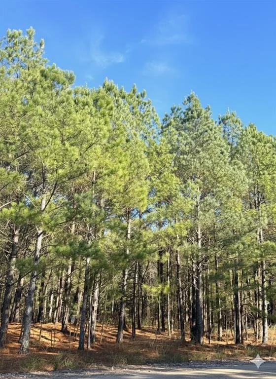 Unit for sale at 32 Dawnview Way Trail, Broken Bow, OK 74728