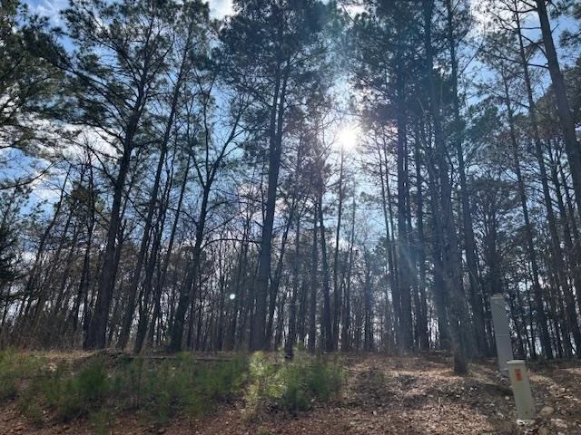 Unit for sale at 89 Middle Meddock Lane, Broken Bow, OK 74728