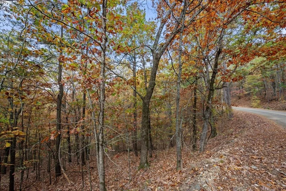 Unit for sale at Southern Hills Circle, Broken Bow, OK 74728