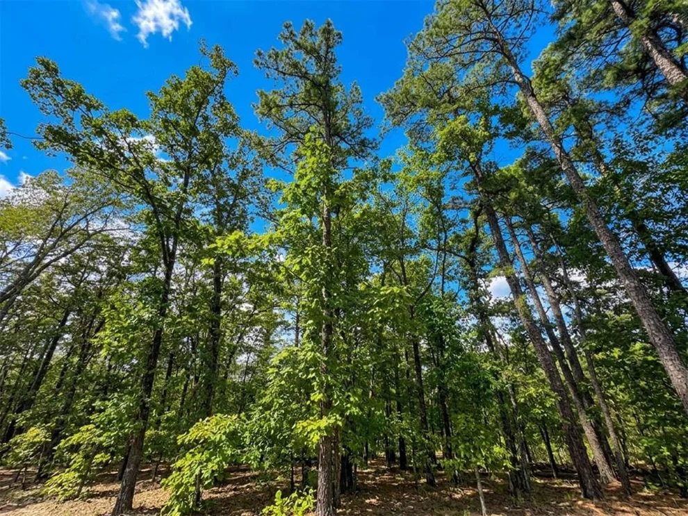 Unit for sale at 1054 Carter Mountain Trail, Broken Bow, OK 74728