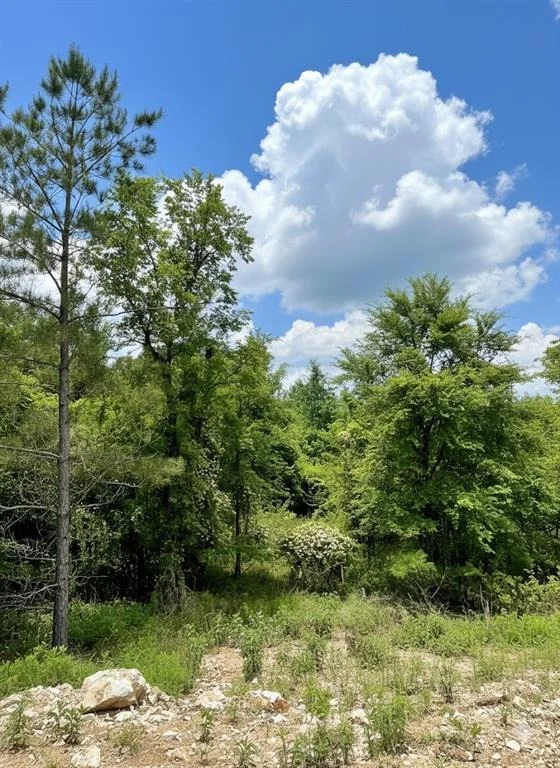 Unit for sale at 667 Timber Creek Trails South XI, Broken Bow, OK 74728
