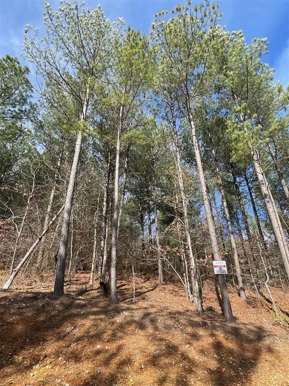 Unit for sale at 775 Timber Creek Trails South XI, Broken Bow, OK 74728