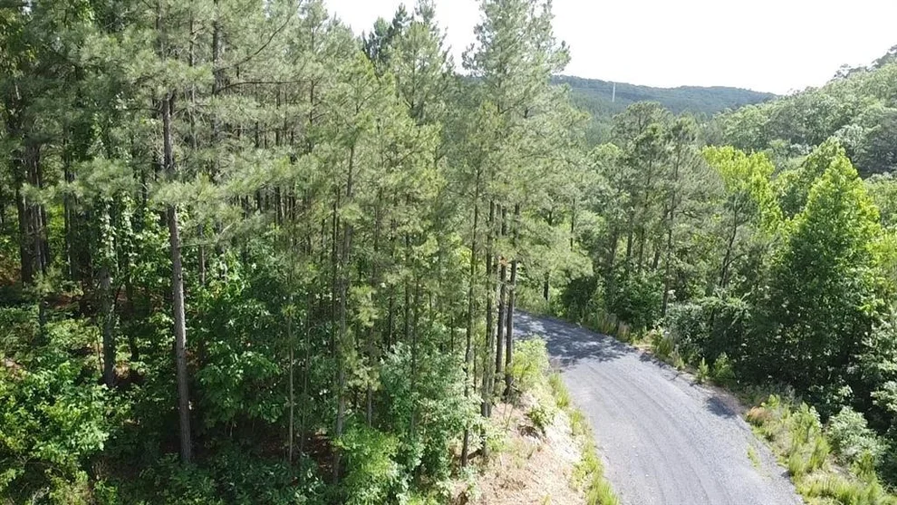 Unit for sale at 635 Virginia Pine Place, Broken Bow, OK 74728