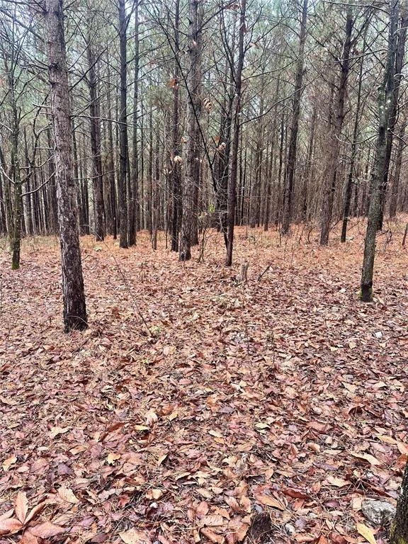 Unit for sale at 01235 Sugarberry Trail, Broken Bow, OK 74728